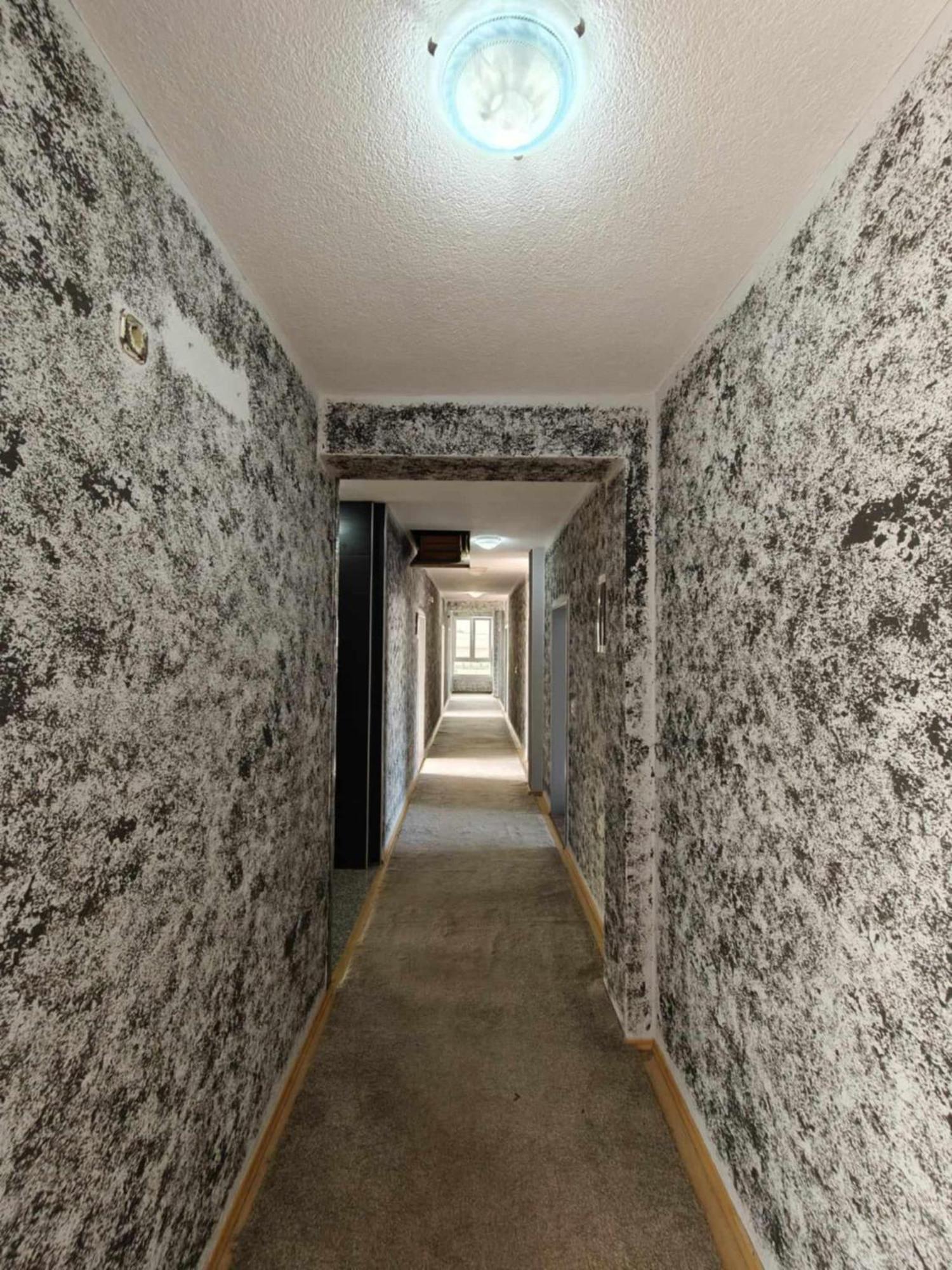 Hotel Ariston 斯特鲁加 外观 照片